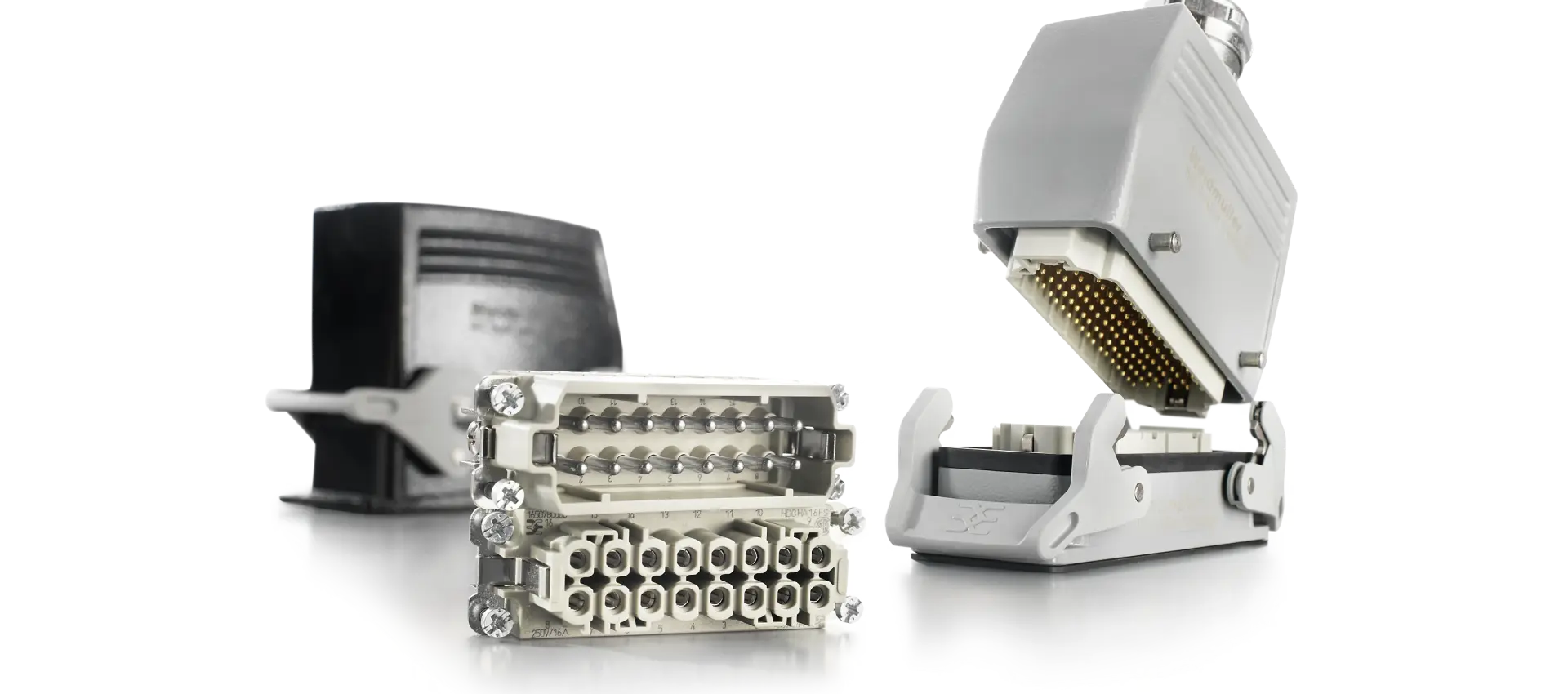 Fix pólusszámú betétek