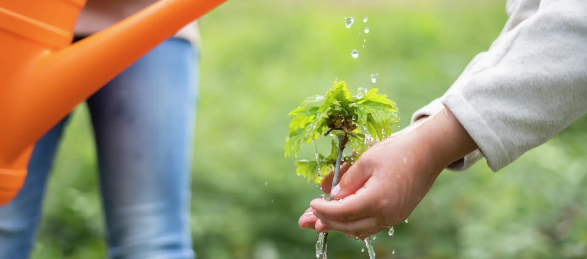 Our Sustainability Projects