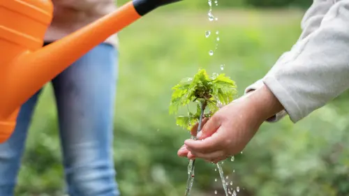 Connecting aluminum wires and aluminum conductors correctly