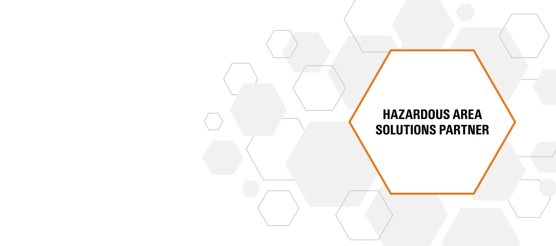 Hazardous Area Solutions Partners (HASP)