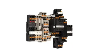 Fuse terminals and component terminals