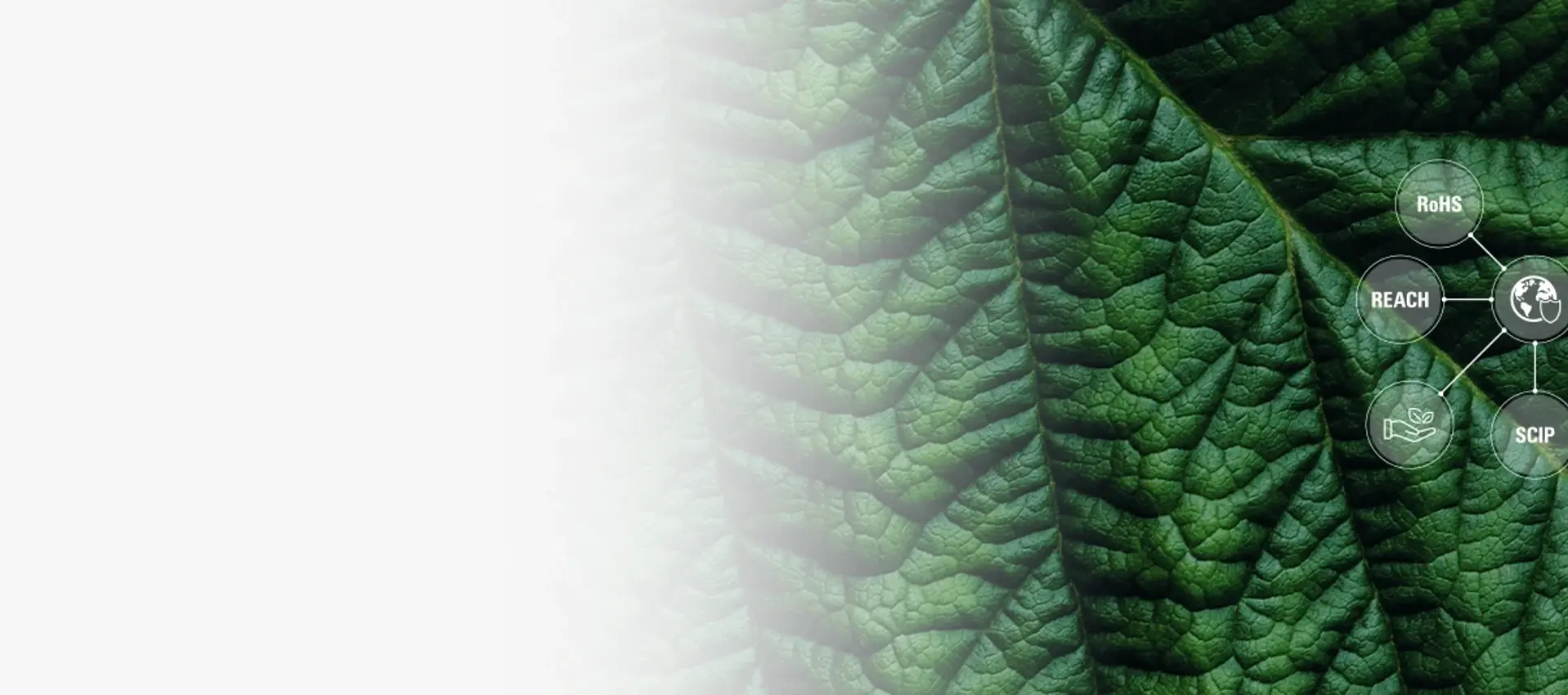 Green compliance