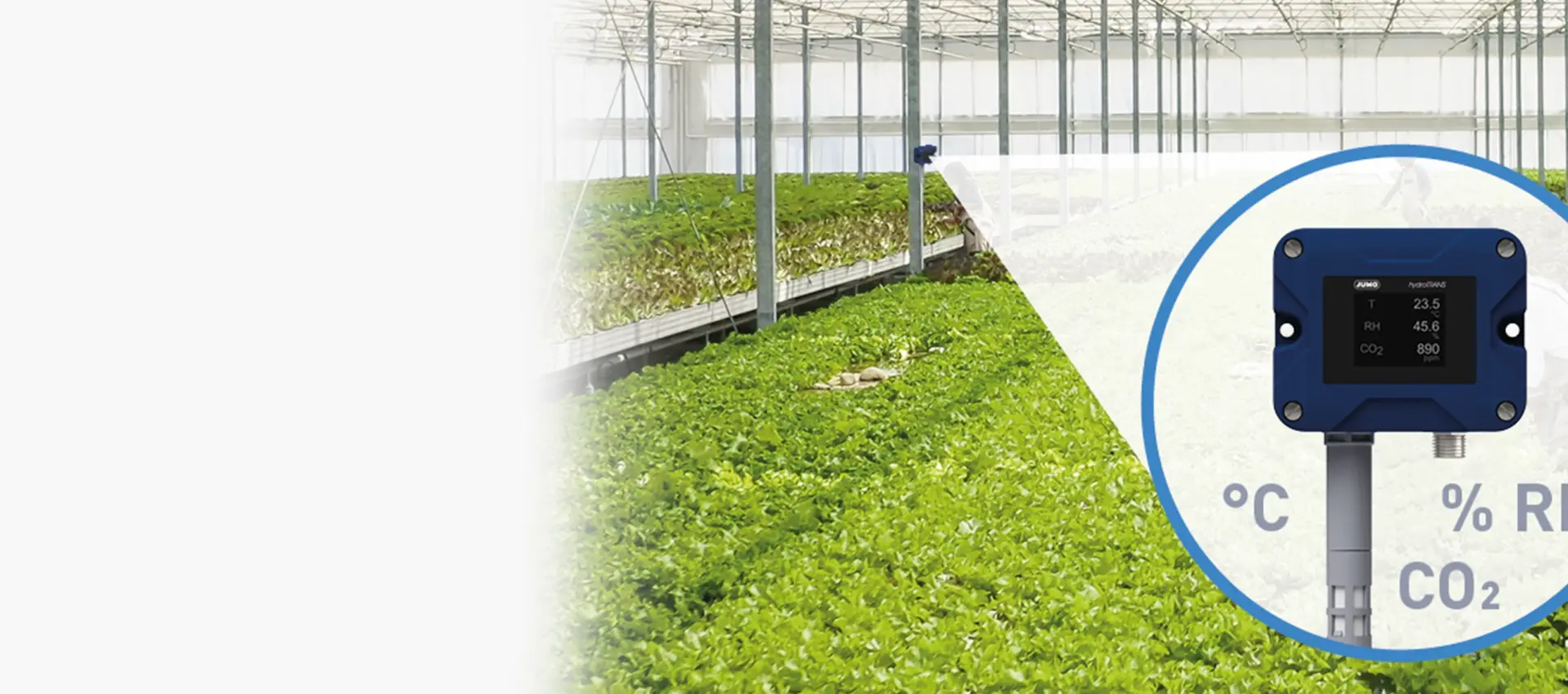 JUMO and Weidmüller make greenhouses IoT-capable