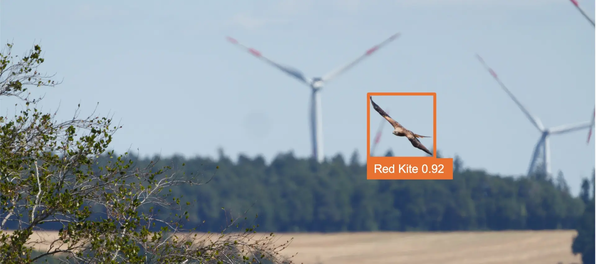 AI-based anti-collision system for wind turbines