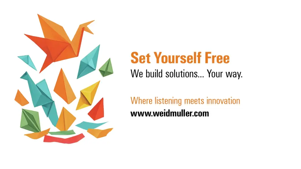 Set Yourself Free Campaign - Colorful paper cranes floating over text