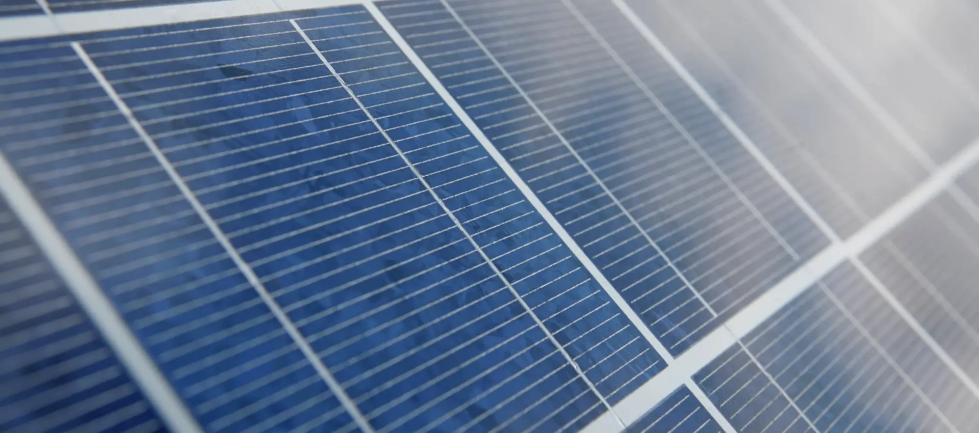Maximize Your PV Efficiency & Profitability with Weidmuller's Solar Solutions
