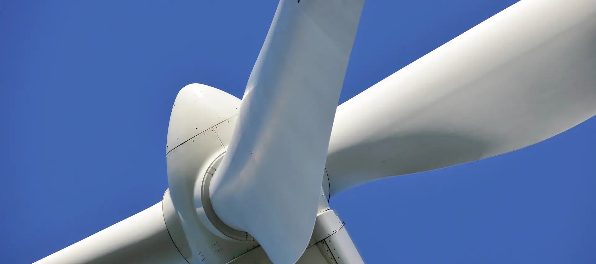 Discover Weidmuller's Customer Specific Solutions for Wind Energy